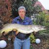 Ein Prachtexemplar von Hecht hat Helmut Miletski von der Anglergemeinschaft Grafenrheinfeld in diesen Tagen aus dem vereinseigenen Angelsee gefischt. Der Hecht (Esox) hat eine stattliche Größe von 1,15 Metern und bringt 22 Pfund auf die Waage. Dass Fische solcher Größe in den heimischen Gewässern zu finden sind, das schreibt die Anglergemeinschaft ihrem Einsatz für die Natur und der Pflege der Gewässer zu.