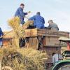 Ständig in Bewegung: Dietmar Streit, Ludwig Geis und Wolfgang Schirber waren mit weiteren fünf Helfern an der altehrwürdigen Dreschmaschine beim Brauhausfest im Einsatz.