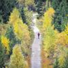 Vielfältig: Ein Wanderer geht beim Naturschutzzentrum Kaltenbronn (Baden-Württemberg) im Schwarzwald einen Weg entlang, an dem herbstlich verfärbte Bäume stehen. Forstminister Alexander Bonde legt am Donnerstag den neuen Waldzustandsbericht vor