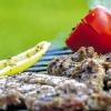 Nicht nur Fleisch: In Schweinfurt wird am Sonntag um die Wette gegrillt. Erstmals wird auch ein vegetarisches Gericht bewertet.