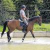 Im Wassergraben: Nach dem anstrengenden Training lässt Lindenhof-Besitzer Gerold Ort sein Pferd “Highlight“ gerne im großen neuen Wassergraben auslaufen.