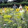 Bienenweide als Augenweide: Das Blütenmeer beim neuen Trinkwasserbrunnen der Gemeinde Winterhausen erfreut auch den Initiator des Bienenschutzprojektes, Andreas Richter, seine Frau Annette und die Töchter Anika (links) und Leonie (rechts). Im Herbst wird das Biotop durch Winterlinden und Obstbäume vervollständigt.