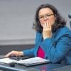 Ihr Projekt ist die Rente mit 63: Die Bundesministerin für Arbeit und Soziales, Andrea Nahles (SPD), im Bundestag in Berlin.