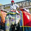 Fortbewegung in Indien.