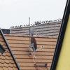 Unerwünscht: Die vielen Tauben im Altort sind den Winterhäusern ein Dorn im Auge.
