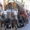 Macht optisch was her: der von Pferden gezogene Bierwagen im Festzug zur Spessartfestwoche.