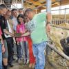 Automation: Manuel Schipper (rechts) erklärte den Ehrengästen beim „Tag des offenen Bauernhofs“ seinen modernen Bullenstall in Aschenroth. Im Bild (von links): Bürgermeister Jürgen Lippert, Diplom-Agrar-Ingenieur Hubert Fröhlich, Kreisobmann Gerhard Endres, Landtagsabgeordneter Thorsten Schwab, stellvertretende Landrätin Sabine Sitter, Bezirksrat Johannes Sitter und Kreisbäuerin Maria Hoßmann.