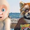 Freunde: Flöckchen und der kleine rote Panda.