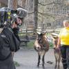 Im Visier: BR-Reporterin Birgit Rosshaupt im Gespräch mit Tierpflegerin Alexandra, stets beobachtet von den beiden Eseln.