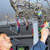 Bunt und dekorativ: Manfred Landauer fertigte auch für die Giebelstädter Bibliothek seine Origami-Faltsterne.