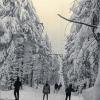 Ein halbes Jahrhundert Ziel für Skifahrer: Seit 50 Jahren sind auf der Wasserkuppe Lifte in Betrieb und haben den höchsten Berg der Rhön auch im Winter zu einem attraktiven Ausflugsziel gemacht.