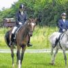 Dressurreiten: Es ist immer noch die Königsdisziplin im Reitsport. Beim Nachwuchsturnier für Dressur und Springen in Gerolzhofen zeigten junge  Reiter und Reiterinnen ihr Können.