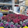Dürfen bleiben: Die Sitzrondelle, die die Stadt inzwischen „Pflanzrotunden nennt“, werden vorerst nicht entfernt.NORBERT SCHWARZOTT