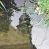 Rhöner Wasserbild: Welche Kirche spiegelt sich hier so märchenhaft im Wasser?