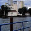 Cramer-Mühle verliert: Ihre Klage gegen die Genehmigungen der Stadt Schweinfurt zum Bau mehrerer Wohnhäuser an der Mainlände hat die Cramer-Mühle KG auf der Maininsel erstinstanzlich vor dem Verwaltungsgericht Würzburg verloren.
