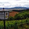 Schöne Aussicht: Blick von der Sonnenterrasse der Weinbergshütte Vinica über das Ganstal zum Sodenberg.