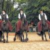 Showeinlage: Die Friesenquadrille Vogelsberg begeisterte mit ihren schwarzen Perlen.