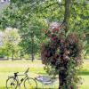Pause: Im Kurpark lässt es sich auch 75 Jahre nach Verleihung des Kurtitels aushalten.