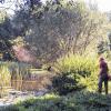 Naturfreunde im Einsatz für seltene Tier- und Pflanzenarten: An den Stettener Klärteichen wurden Brennnesseln entfernt, um Platz für frisches Grün zu schaffen.