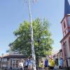 (to)   „So etwas gibt es bei uns nicht“, muss ein Münchner Tourist überrascht feststellen, als er den hübsch geschmückten Maibaum noch am ersten August auf dem Hofheimer Marktplatz in die Höhe ragen sieht. Bei ihnen in der Heimat gäbe es zudem keine Birken, sondern Nadelbäume als Maibäume. Deshalb sind die Radfahrer über den prächtigen Baum nicht nur verwundert, sondern auch sehr begeistert. Die Antwort dafür, dass der Baum noch immer steht, kann auch Hofheims Bürgermeister Wolfgang Borst nicht liefern. Nur soviel: Die Stadt Hofheim selbst war in diesem Jahr weder für das Aufstellen des Baumes noch für den Abbau zuständig. Das ist heuer Aufgabe des JUZ Hofheim gewesen. Wie berichtet, hatten die JUZler dieses Jahr die Initiative ergriffen und dafür gesorgt, dass wieder ein Maibaum auf dem Marktplatz aufgestellt wurde. Warum der Maibaum allerdings inzwischen zu einem August-Baum geworden ist, war am Donnerstag nicht zu erfahren. Die Mitglieder des Jugendzentrums sind zurzeit auf großer Fahrt. Vorsitzender Daniel Fischer war telefonisch nicht zu erreichen. Es ist also davon auszugehen, dass der Baum zumindest noch ein paar Tage den Hofheimer Marktplatz zieren wird. Aber dennoch hat der verspätete Maibaum auch eine positive Seite, denn so „sind wir auch endlich einmal in einer fränkischen Zeitung.“, scherzen die Touristen aus der Landeshauptstadt München.