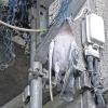 Verendet: Eine Taube im Netz am Ämterhochhaus.