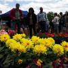 Kunterbunt: Auf die Gartenfans wartete bei den „Gartenträumen“ in Traustadt eine große Vielfalt an Farben und Formen.