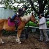 Bequemer Aufstieg per Trittleiter: Herbert Hausmann erklimmt Nockerl, den Reitlehrerin Kirsten Roder-Manger am Zügel hält.