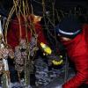 (ch)   Am Sonntagmorgen um 4 Uhr begann im Weinberg des GWF-Winzers Bernhard Fischer bei minus 10 Grad Celsius die Lese. 25 Helfer waren gekommen, um den winterlichen Temperaturen zu trotzen und die letzten Trauben des Jahrgangs 2012 einzubringen. Mit von der Partie war auch die Weinprinzessin von Erlenbach. Um 6 Uhr war die Lese beendet. Nach einem warmen Kaffee und einem Stück Kuchen wurde das Lesegut in die Kelter nach Randersacker gebracht.