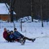 (lena)   Das winterliche Wetter am Wochenende haben Ida, Friederike, Valentin, Louise, Vincent und Laurenz Storch aus Unsleben genutzt, um sich beim Skijöring komfortabel mit dem Pferd über die Koppel ziehen zu lassen. Tinker-Stute Sunrise wurde schon oft vor die Kutsche gespannt, deshalb war es für sie auch kein Problem, den Schlitten mit den Kindern zu ziehen. „Meine Kinder wollten es mal ausprobieren und schauen, wie die Stute reagiert“, sagt Mutter Elke Storch. Es habe auch gut funktioniert, leider sei schon viel Schnee auf der Koppel getaut, so die sechsfache Mutter. Auch Hund Anton hatte seinen Spaß und sauste begeistert durch den Schnee. Beim Skijöring zieht ein berittenes Pferd eigentlich einen Skifahrer hinter sich her, der sich an Leinen festhält, die an dem Brustgeschirr des Pferdes befestigt sind. Skijöring ist eine Variation des Skikjöring, ein Pferderennen, bei dem ein Skifahrer von einem reiterlosen Pferd gezogen wird. Das bekannteste Rennen ist das White Turf im Februar auf dem zugefrorenen St. Moritzsee.