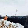 Jagd-Verbot auf seinen Feldern: Stefan Körber gewann einen Rechtsstreit vor dem Verwaltungsgericht Würzburg.