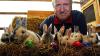 Gruppenbild mit Hasenvater: Seit fünf Jahren züchtet Peter Seuberling aus Hausen Rhönkaninchen. Dass sie auch Ostereier legen, glaubt er trotz hart gekochter Tatsachen nicht mehr.