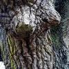 „Am Busen der Natur“ nennt unsere Leserin ihre Aufnahme, die in Fellen entstand.