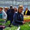 Ansturm: Gleich nach den offiziellen Eröffnungsreden zum Tag der offenen Gärtnereien in Kitzingen waren Kundinnen und Kunden im Freigelände unterwegs, um sich mit Frühlings- und Sommerblumen einzudecken.