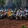 Geballte Kraft: Beim Spitzenlauf in der MX2-Klasse in Obersinn drängten sich 42 Piloten an der Startmaschine.