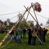 Alle packen mit an: Pure Muskelkraft und ein kräftiges Kommando brachten den Maibaum in Wülfershausen an seinen Platz.