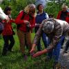 (hwi)   Um Orchideen zu sehen, mussten am Muttertag etwa 35 Pflanzenfreunde bis zum Schotterwerk Werbach fahren und dann eine halbe Stunde wandern, bis man unter Führung von Harald Hilbig die erste Orchidee, das Knabenkraut, fand, und das bereits im Naturschutzgebiet, wo die Orchideen besonders geschützt sind. Man konnte sie also nur auf dem Boden betrachten. Wie Hilbig verriet, hatte er im Orchideengebiet Dertingen, wohin es  erst gehen sollte,  noch keine gesichtet, so dass man nach Werbach fahren musste. Aber dort im Naturschutzgebiet blühtn bereits  sieben Arten: Helmknabenkraut, Purpur-Knabenkrut, Fliegen-Ragwurz, Spinnen-Ragwurz, Bocks-Riemenzunge, Großes Zweiblatt und Grünliche Waldhyazinte. Da wurden eifrig Fotos gemacht.  Unterwegs konnte man in einem Wasssergraben die seltene Gelbbauch-Unke entdecken. Aber noch andere Pflanzen-Seltenheiten konnte Hilbig präsentieren, so das Apeninnn-Sommerröschen, das Federgras, den Diptam und die Echte Kugelblume.