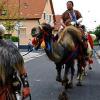 (svd)   Nicht aus der Mongolei wie die Kamele, aber doch teilweise von weither kamen die geschätzten 30  000 Besucher des Heimatfestes in Rottershausen. Seit 1973 öffnen fast alle Dorfbewohner alle fünf Jahre Tor und Tür. Auf jedem Grundstück war etwas los. Sei es eine gemütliche Spinnecke, wo Landfrauen beim Häkeln Heimatlieder sangen, oder eine enge Garage, vollgestopft mit altem Hausrat als kleinstes Heimatmuseum der Region. Männliche Besucher, die mit Blumenschmuck und Wellnessmassage nichts anfangen konnten, schauten den Baumfällern zu oder bewunderten die alten Traktoren und landwirtschaftlichen Maschinen.