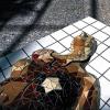 Steff Bauer und Sören Ernst stellen aus: Auf Leben und Tod