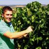 Bester Berufsschul-Absolvent seines Jahrgangs: Franz Kernwein in seinem Weinberg bei Seinsheim.
