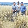 Wildschweine haben das Feld plattgemacht: Landwirt Klaus Eisenhauer, Jäger Edwin Meder, und Schadensschätzer Kurt Selbert (von links) begutachten die Schäden.