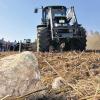Ab ins „Körbchen“: Auch dicke Brummer packt der Steinsammler. Brocken bis zu 30 Zentimeter Durchmesser kann die Maschine, die von einem starken Traktor gezogen wird, aufsammeln.