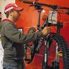 In dieser Ecke waren die Einbrecher aktiv: Fahrradverkäufer Sebastian Biemüller mit einem Mountainbike der Marke Specialized, auf die es die Unbekannten abgesehen hatten.
