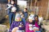 (hag)   An dem 17-fachen Nachwuchs, den die Schafe und die Ziegen dem Streichelgehege „Arche Noah“ bescherten, haben vor allem die Kinder ihre helle Freude. Für die Mädchen und Buben aus der Mittagsbetreuung der Mittelschule gehört der Besuch auf dem oberhalb des Ortes gelegenen Geländes zum festen Programm. Die Schulkinder, die trotz der wenig einladenden Witterung den Platz bevölkern, haben am Spielen und Toben ebenso viel Spaß wie (von links) Katrin, Jada, Dilon, Julian und Nico, die mit den kleinen Schäfchen und Ziegen im Heu kuscheln.