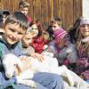 (rsf)   Erst eine Woche ist das Schäfchen alt, das Yannick im Arm hält. Beim Besuch der Kinder aus dem Integrativen Hort der Heideschule Schwebheim auf dem Bauernhof der Familie Monika und Alfred Müller in Waldsachsen wollten alle Kinder das niedliche Schäfchen streicheln. Die Ortsbäuerin hatte im Rahmen der Aktion „Landwirt schafft Heimat“ die Kinder in ihren Ferienfreizeiten zu einem Tag auf dem Bauernhof eingeladen. Dort durften sie alles besichtigen. Viel Spaß bereitete den Kindern auch eine Fahrt auf dem Traktoranhänger, gezogen vom Oldtimer Deutz aus dem Jahre 1959.