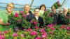 (nat)   Sie leuchtet pinkfarben, sie blüht reich und sie trägt den schönen Namen „Elaine“: die Geranie, die zehn Gärtnereien der Gartenbaugruppe Würzburg in diesem Frühjahr und Sommer für den guten Zweck ausgewählt haben. Zum elften Mal bereits unterstützen die Gärtner der Region durch den Verkauf ihrer Benefizgeranie die „Aktion Patenkind“ der Main-Post. 1500 Pflänzchen der himbeerroten Geraniensorte haben Mitarbeiter des Caritas-Werks Don Bosco in Gadheim in diesem Januar eingetopft, im Februar kamen sie nach Veitshöchheim ins Gewächshaus zu Gärtnermeister Friedrich Reim. Dort wurden sie gedüngt, gepflegt, gehegt. Und seit dem vergangenen Wochenende sind die 1500 prächtigen „Elaines“ nun erhältlich in den zehn beteiligten Betrieben der Gartenbaugruppe: Gärtnerei Carl in Marktheidenfeld, Blumenwerkstatt Rippel in Uettingen, Gärtnerei Gammanick in Waldbüttelbrunn, Gärtnerei Hupp in Höchberg, Gärtnerei Hessdörfer in Retzbach, Gärtnerei Steger in Würzburg, Gärtnerei Müller in Heidingsfeld, Blumenhaus Decker in Würzburg, Baumschule Ringelmann in Lengfeld und eben der Gärtnerei Reim in Veitshöchheim. Auch die Günterslebener Gärtnerei Klos bietet die Benefizgeranie für Beet und Balkon an. 3,95 Euro beträgt der Verkaufspreis, davon geht ein Euro an die „Aktion Patenkind“. Die Geschichte der Gartenbaugruppe Würzburg reicht bis 1806 zurück, dem Jahr der ersten Fahnenweihe. Heute tauschen sich die beteiligten Gärtner aus der Region dort über Neuheiten, ökologische Pflanzenproduktion oder relevante Gesetze für den Gartenbau aus, werben gemeinsam und machen Info-Aktionen für Hobbygärtner und Pflanzenfreunde. Obermeister der Gruppe ist Friedrich Reim (rechts im Bild). In seinem Betrieb entstand das Foto mit vielen blühenden Benefizgeranien und (von links) dem stellvertretenden Obermeister Karl-Heinz Hupp, Hans Steger, Michael Hessdörfer, Petra Gammanick und Thomas Herrmannsdörfer.