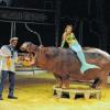 Falsche Nixe, echtes Nilpferd: Der Circus Voyage gastiert vom 8. bis zum 11. Mai in Bad Kissingen.