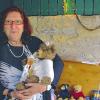 Michaele Prochnow aus Himmelstadt präsentiert erstmals öffentlich ihre umfangreiche Teddybärensammlung.