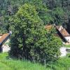 Idylle im Hochspessart: Der Weiler Einsiedel im Hafenlohrtal, ab 1807 wurde hier eine Glashütte betrieben.