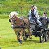 Auf großer Fahrt: Juliane Seibert holte sich mit ihrem Pony „Novis“ den zweiten Platz beim Fahrturnier in Ostheim und den Titel in der Gesamtwertung des diesjährigen Rhön-Grabfeld-Cups.