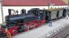 Für Eisenbahn-Enthusiasten: Die Modellbahnschau in der Oskar-Herbig-Halle lockt die Fans von nah und fern nach Mellrichstadt.